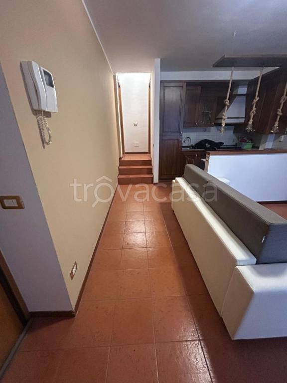 immagine annuncio 3 di 14