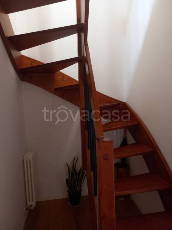 immagine annuncio 11 di 14