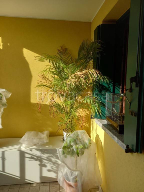 immagine annuncio 10 di 14