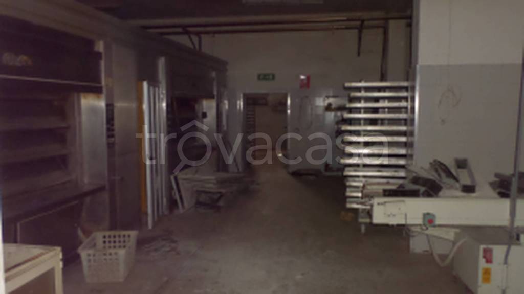 immagine annuncio 4 di 11