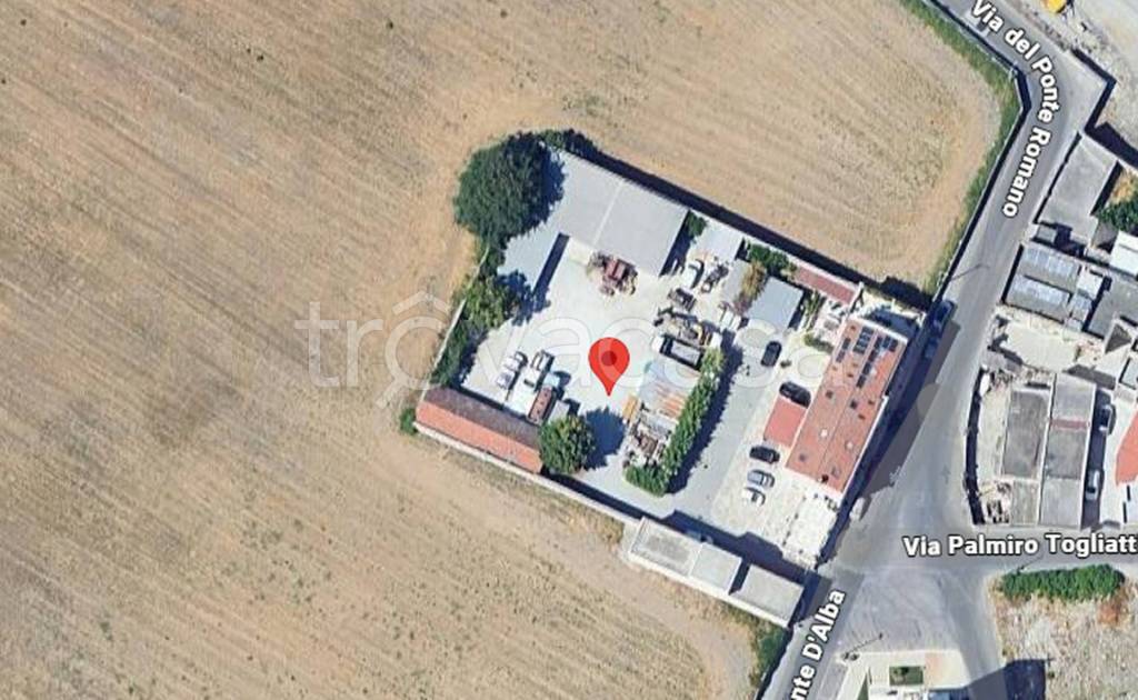 immagine annuncio 5 di 11