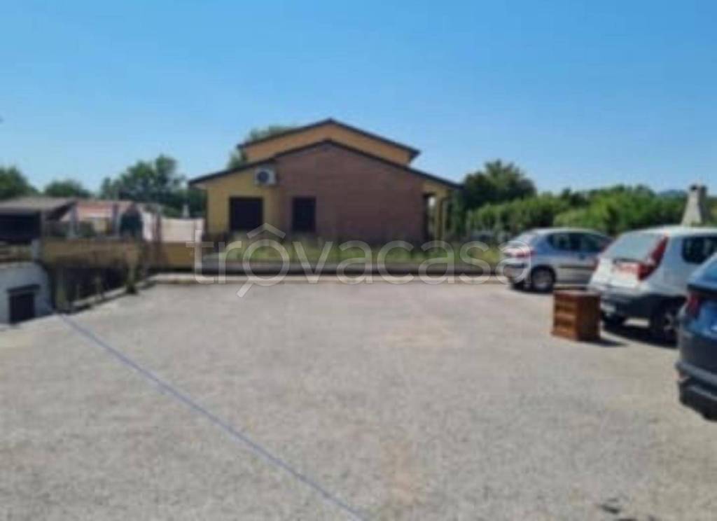 immagine annuncio 4 di 11