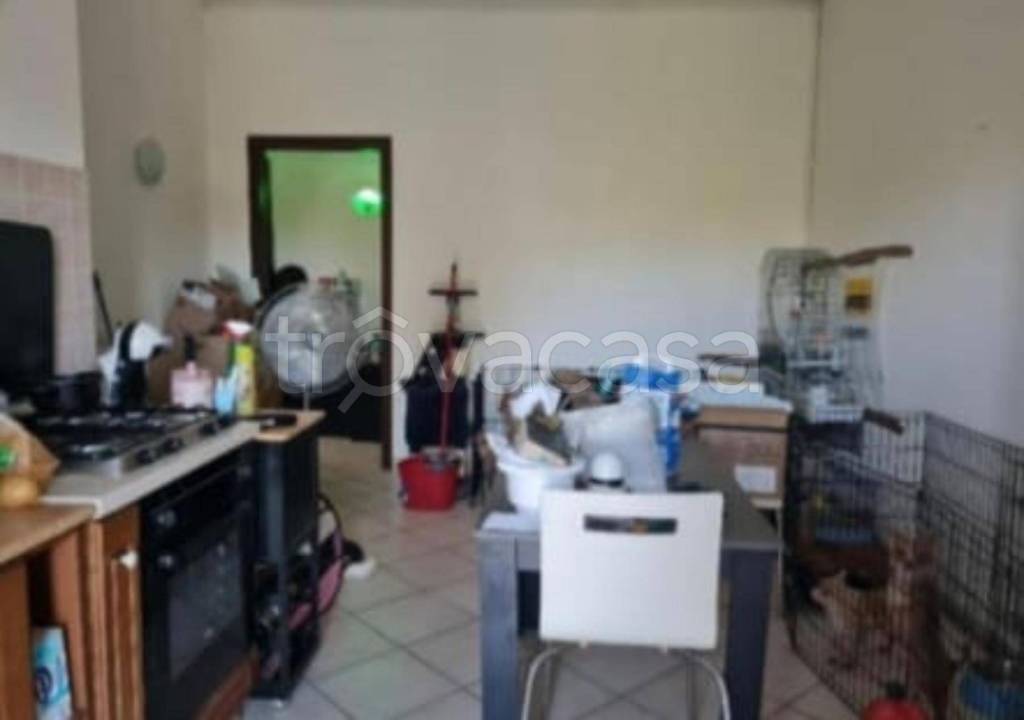 immagine annuncio 2 di 11