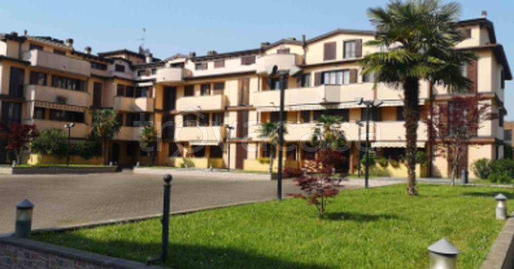 immagine annuncio 9 di 11