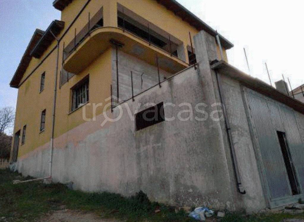 immagine annuncio 9 di 11