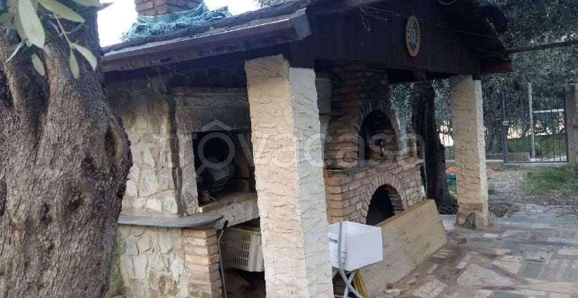 immagine annuncio 6 di 11