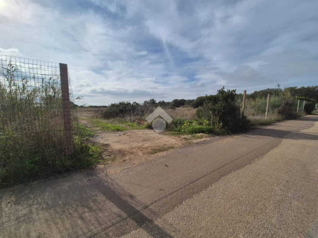 immagine annuncio 4 di 9