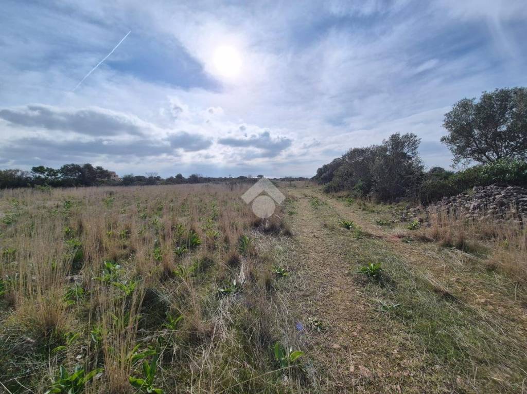 immagine annuncio 6 di 9