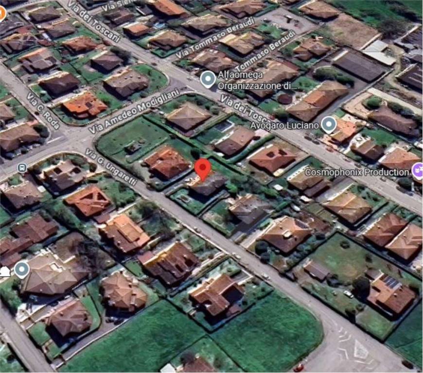 immagine annuncio 9 di 14