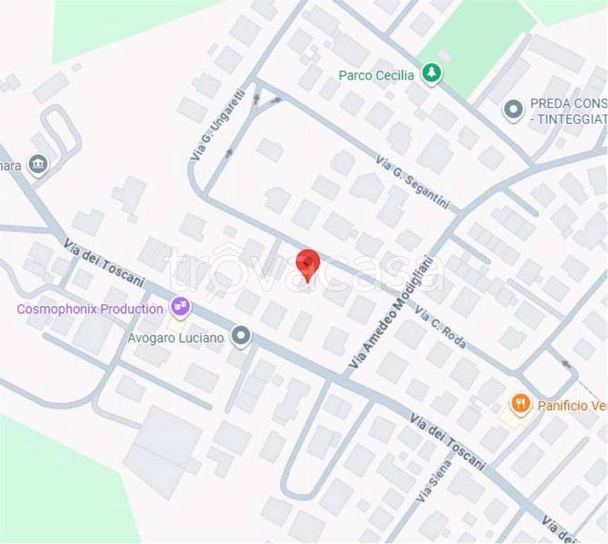 immagine annuncio 11 di 14