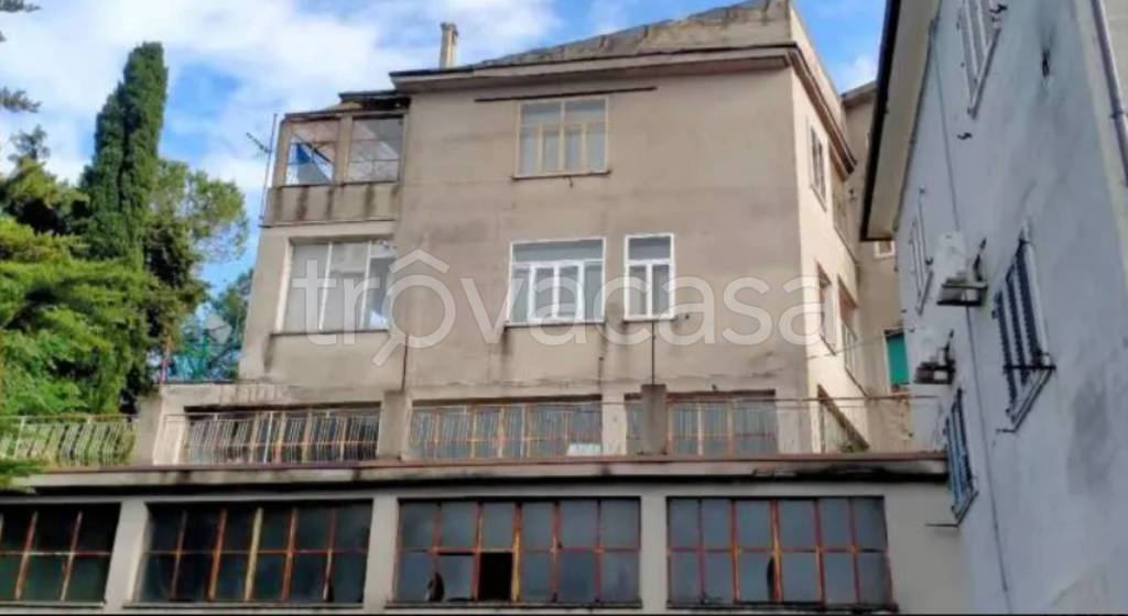 immagine annuncio 5 di 13