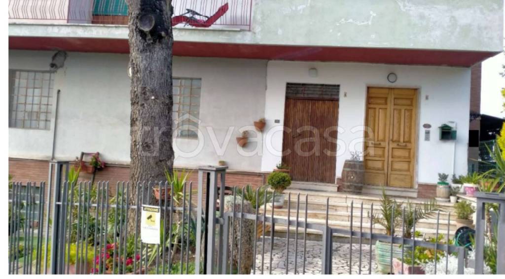 immagine annuncio 7 di 13