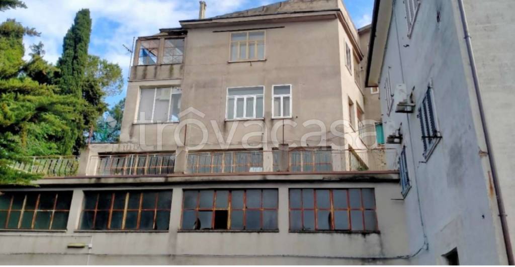 immagine annuncio 9 di 13