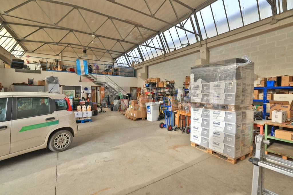 immagine annuncio 9 di 15