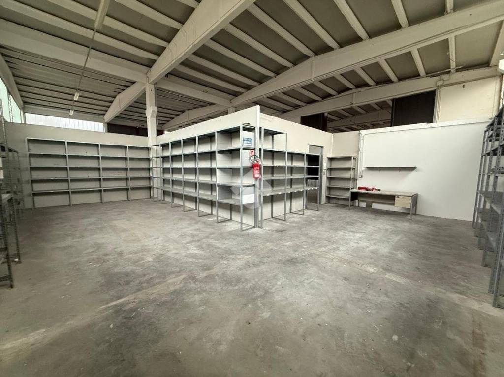 immagine annuncio 4 di 15