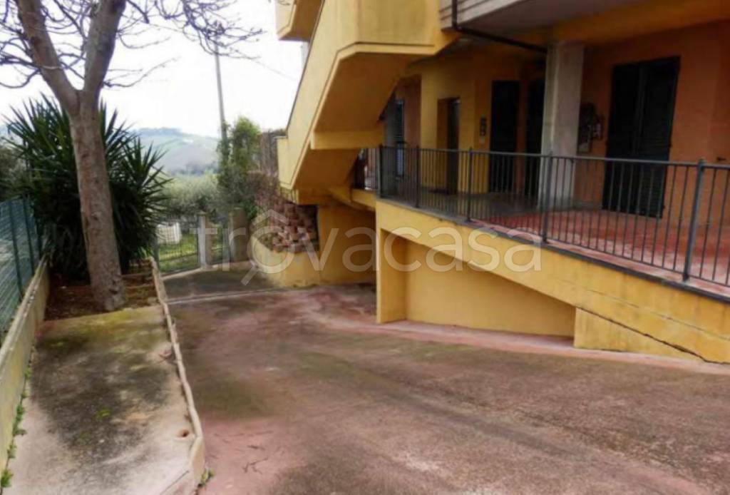 immagine annuncio 7 di 13