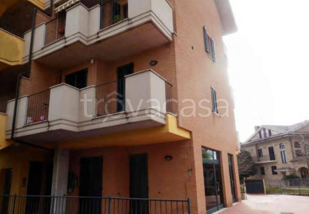 immagine annuncio 4 di 13