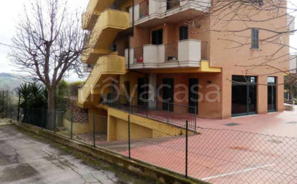 immagine annuncio 9 di 13