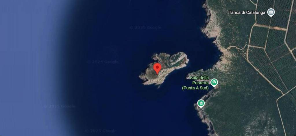 immagine annuncio 1 di 6