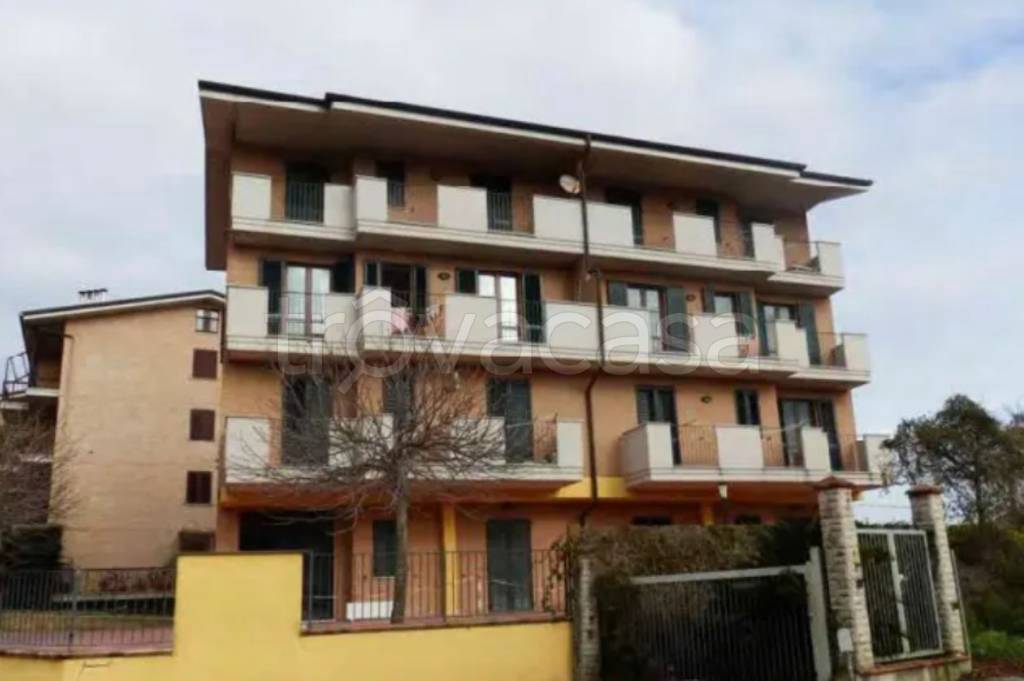 immagine annuncio 12 di 13