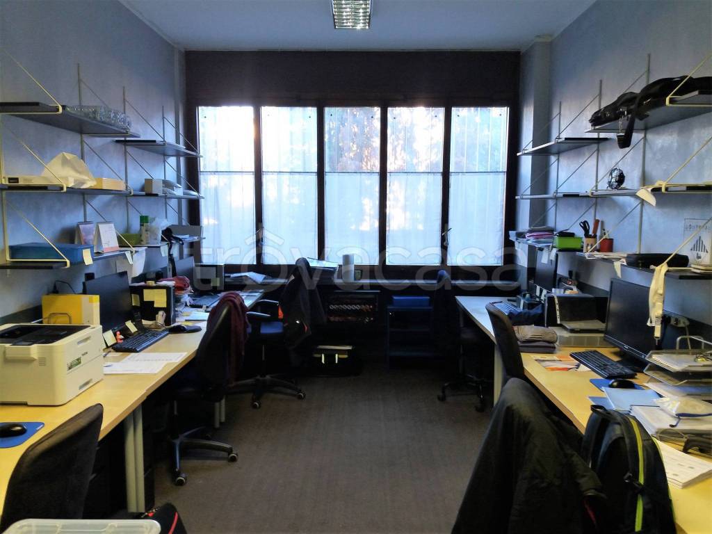 immagine annuncio 4 di 12