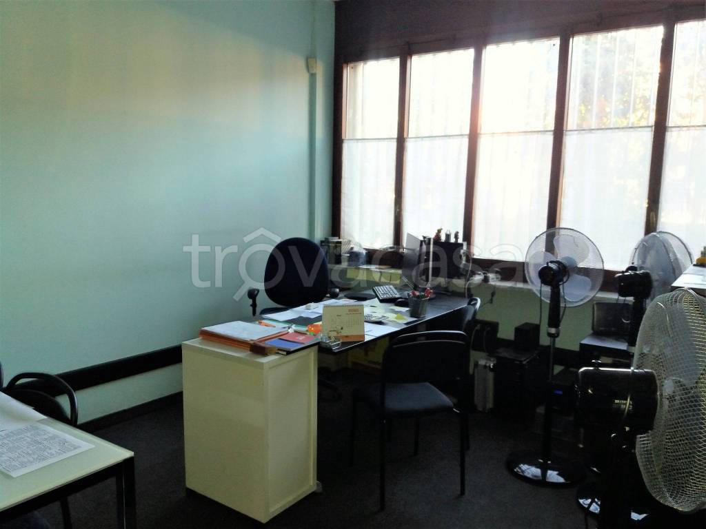 immagine annuncio 8 di 12