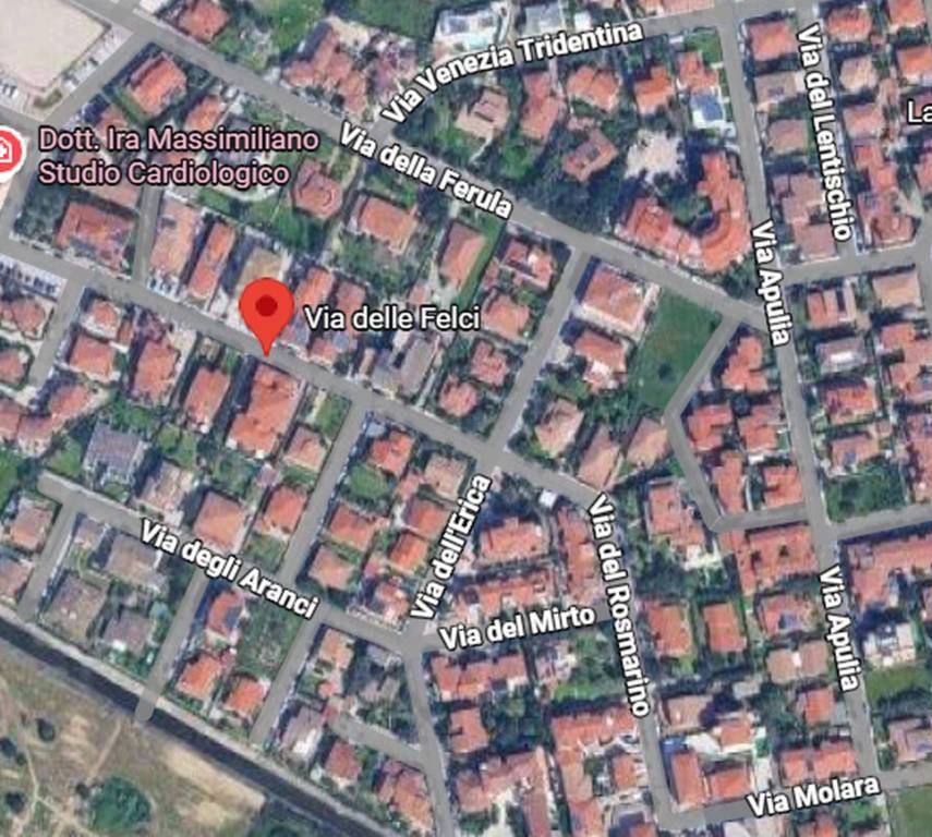 immagine annuncio 3 di 11