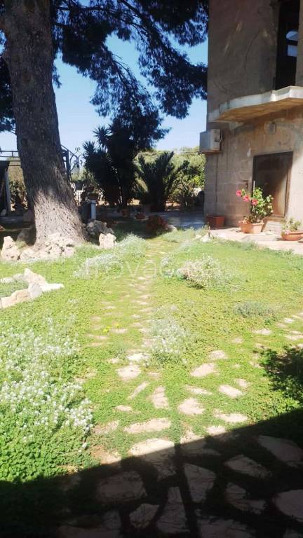 immagine annuncio 5 di 7