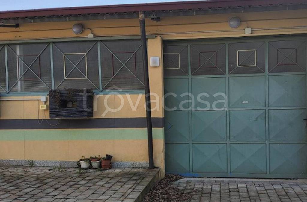 immagine annuncio 1 di 13