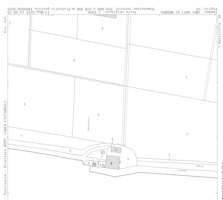 immagine annuncio 9 di 13