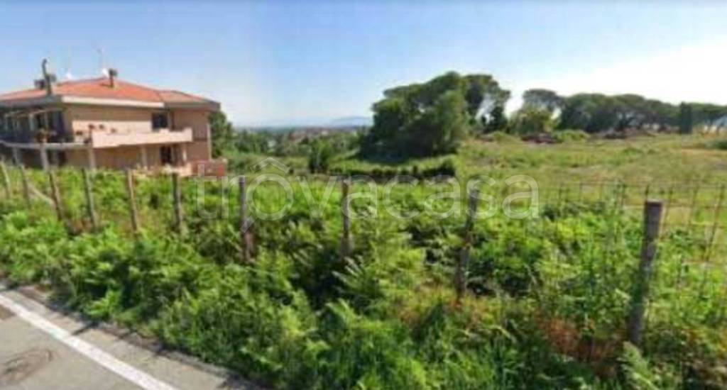 immagine annuncio 4 di 14