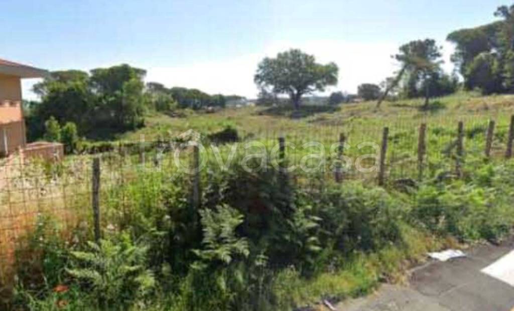 immagine annuncio 13 di 14