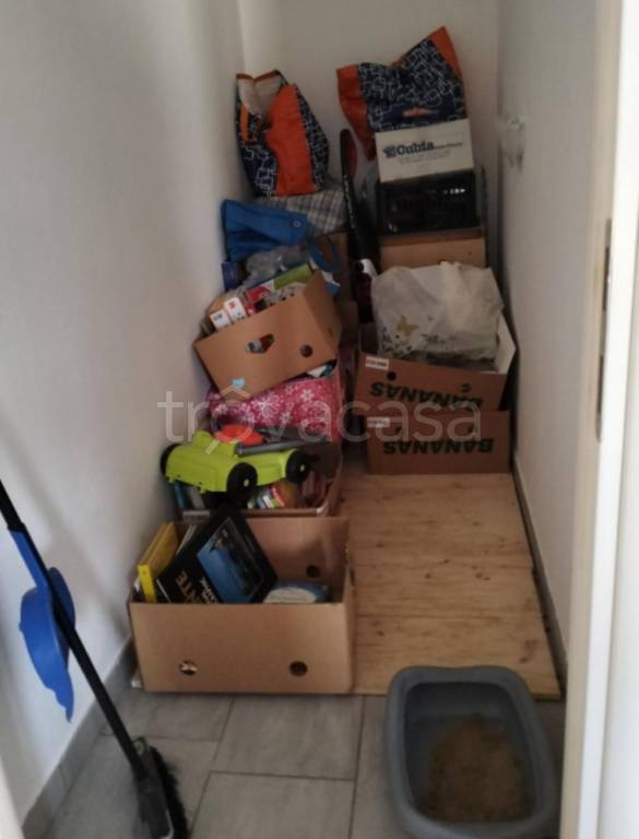 immagine annuncio 5 di 11