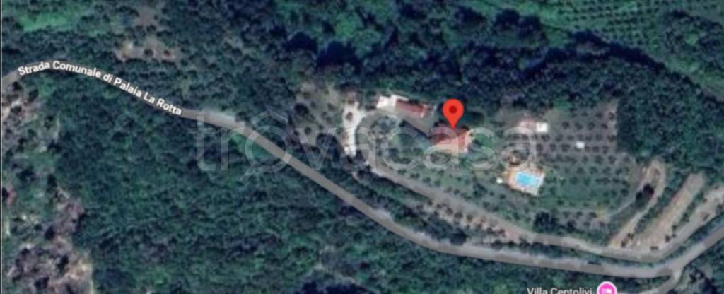 immagine annuncio 7 di 14