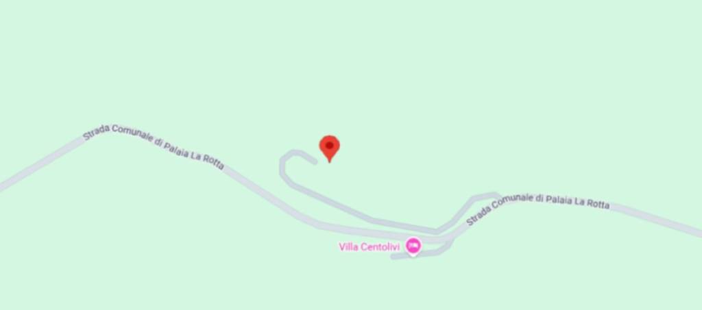 immagine annuncio 12 di 14