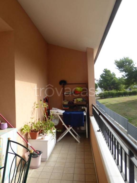 immagine annuncio 10 di 12