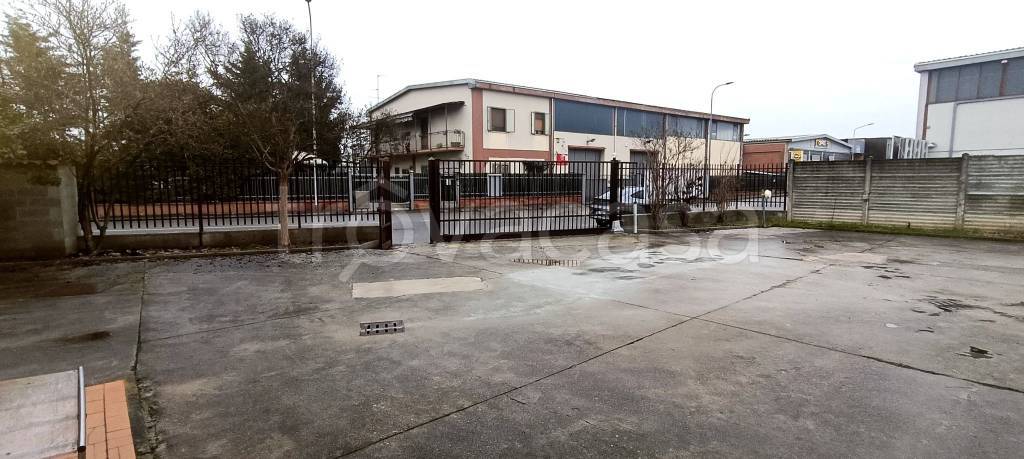 immagine annuncio 5 di 15