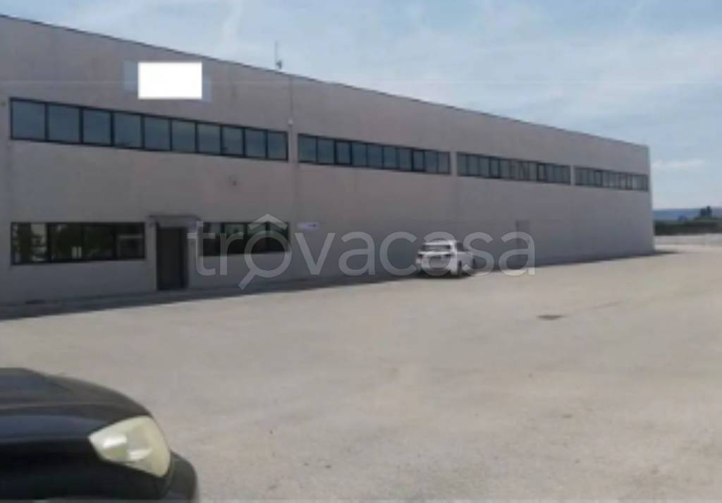 immagine annuncio 7 di 14