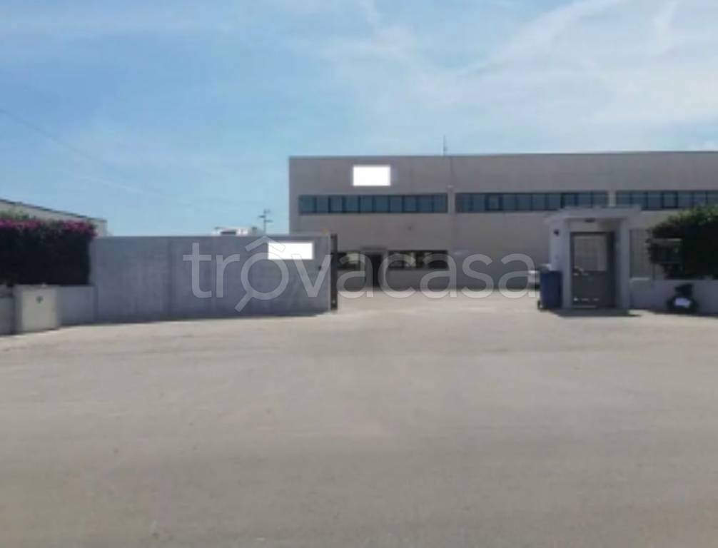 immagine annuncio 6 di 14