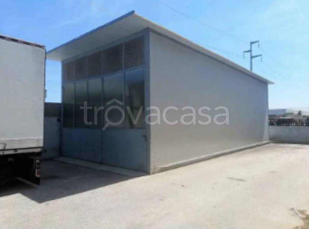 immagine annuncio 12 di 14