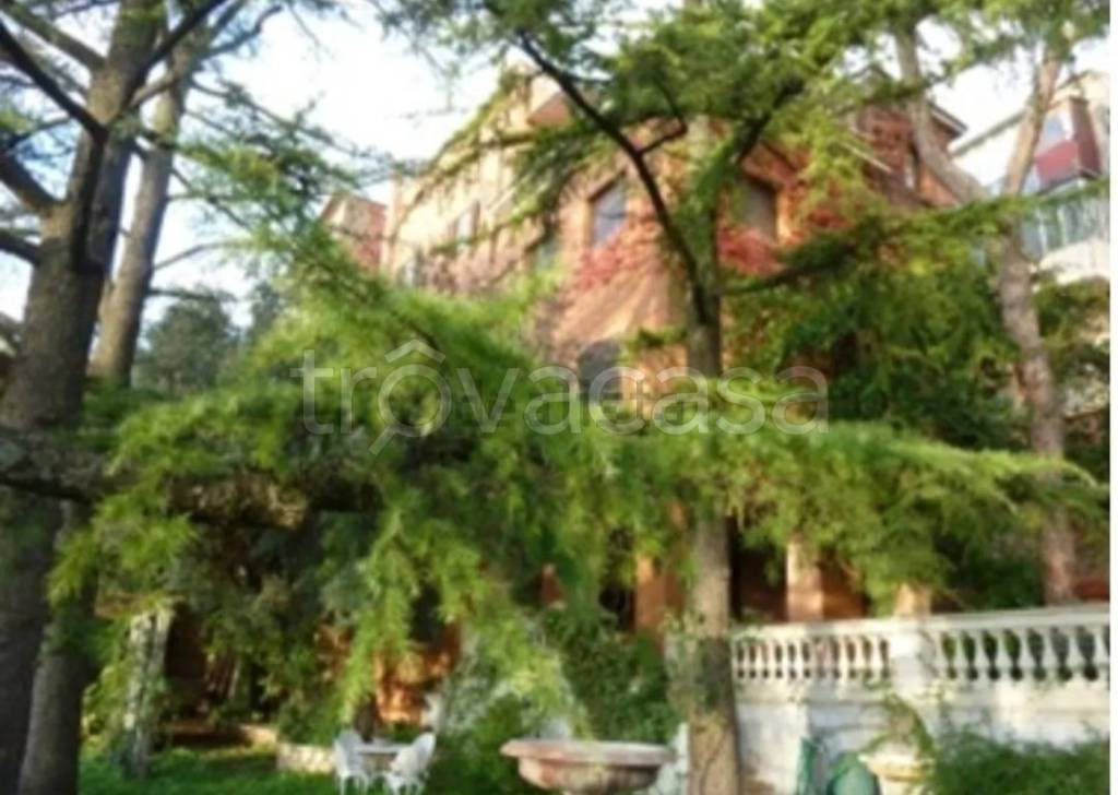 immagine annuncio 2 di 7