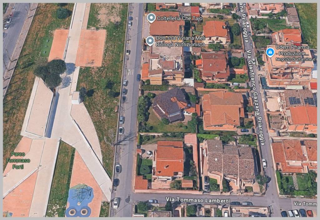 immagine annuncio 14 di 15