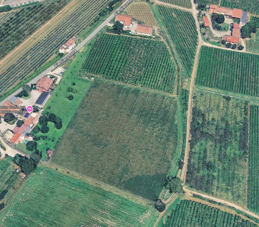 immagine annuncio 3 di 15