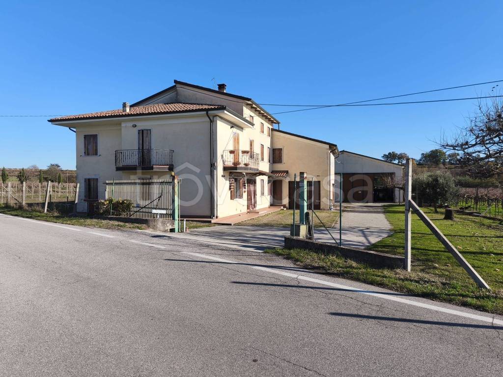 immagine annuncio 5 di 15