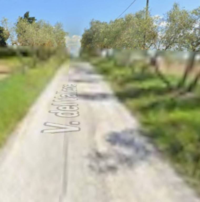 immagine annuncio 6 di 11