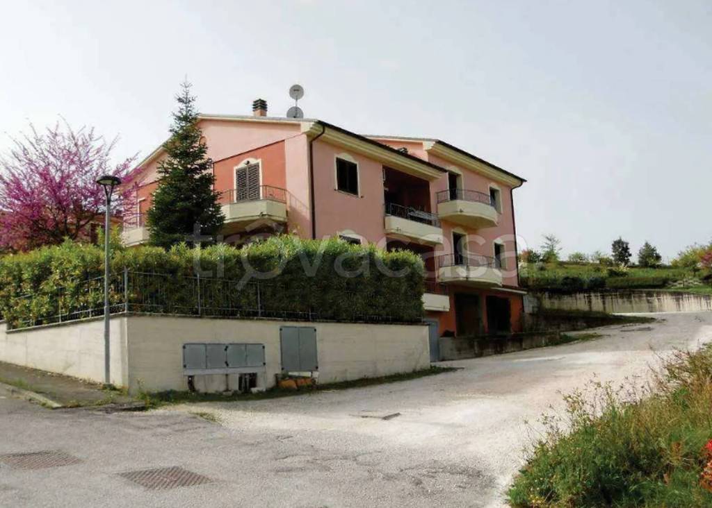 immagine annuncio 8 di 12