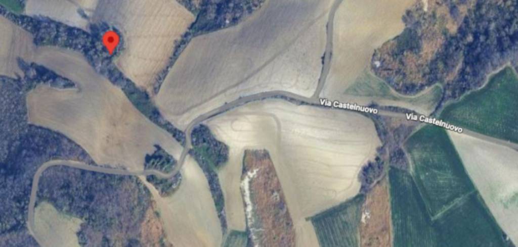 immagine annuncio 2 di 11