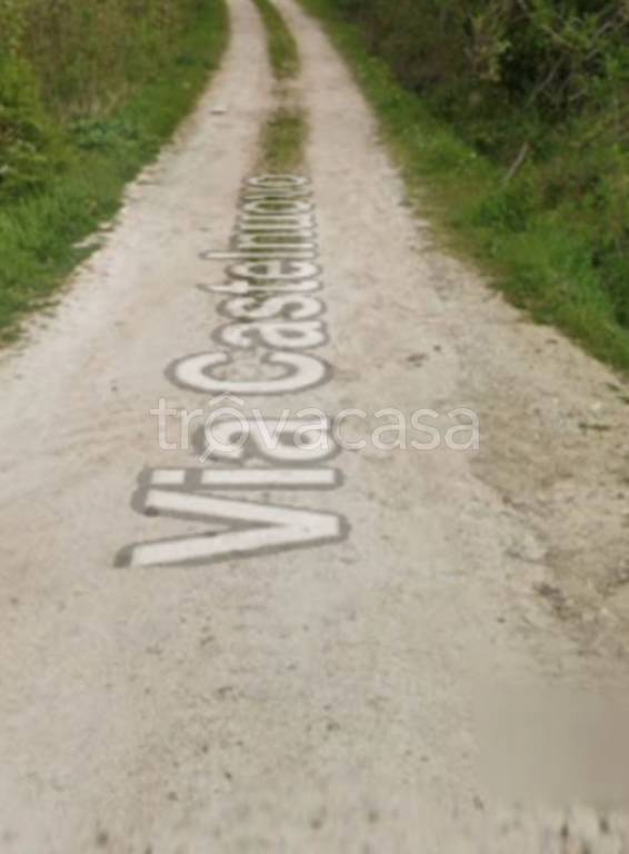 immagine annuncio 6 di 11