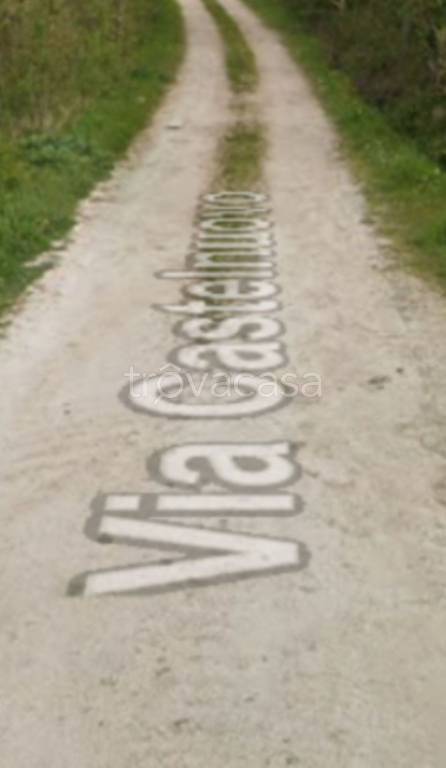 immagine annuncio 8 di 11