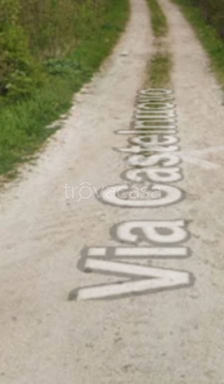 immagine annuncio 9 di 11